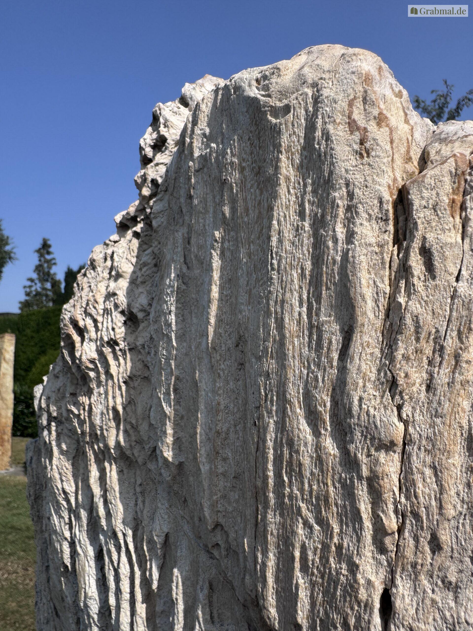 Grabstein Felsen 0732 – Bild 6