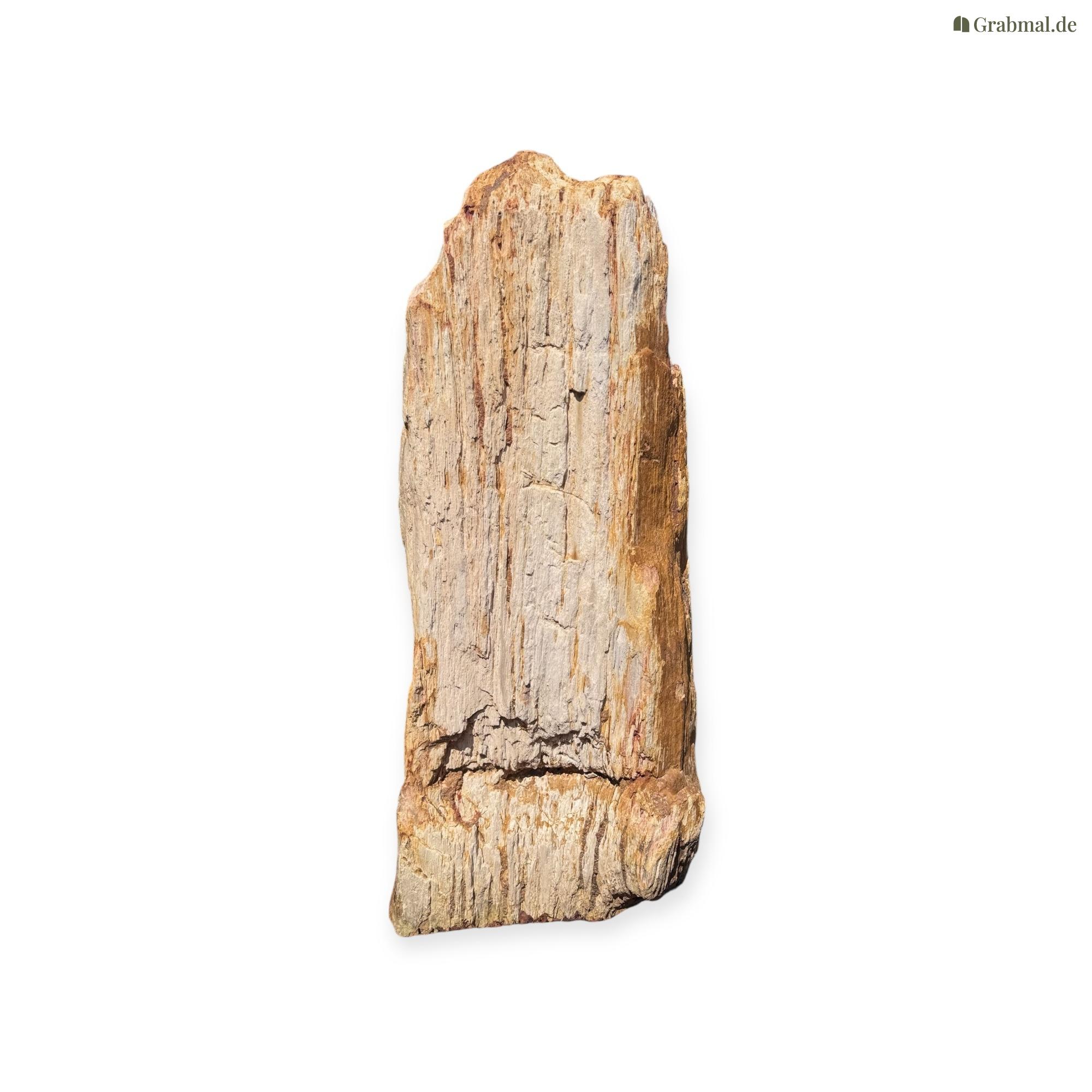 Grabstein Felsen 0293