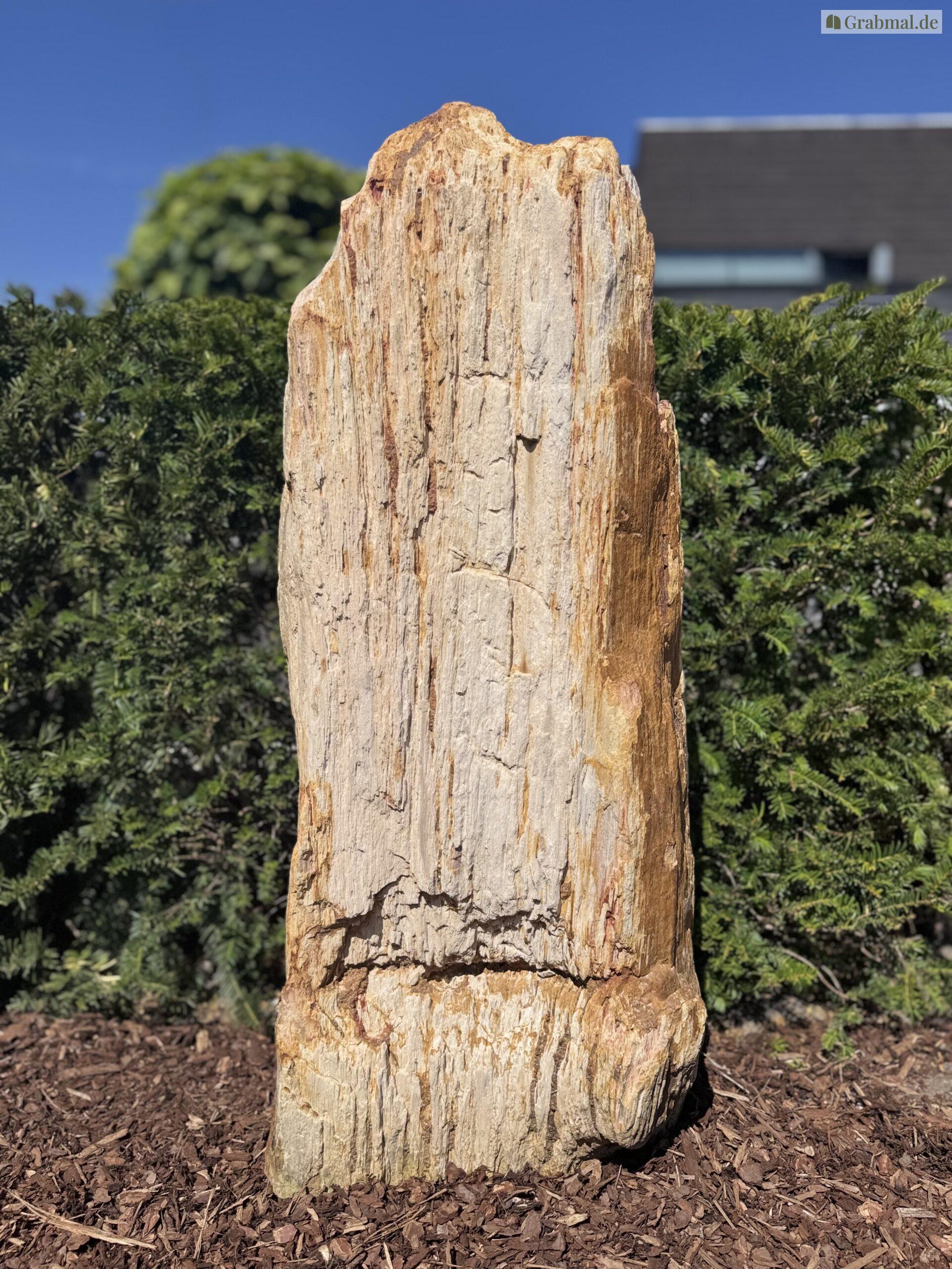 Grabstein Felsen 0293 – Bild 3