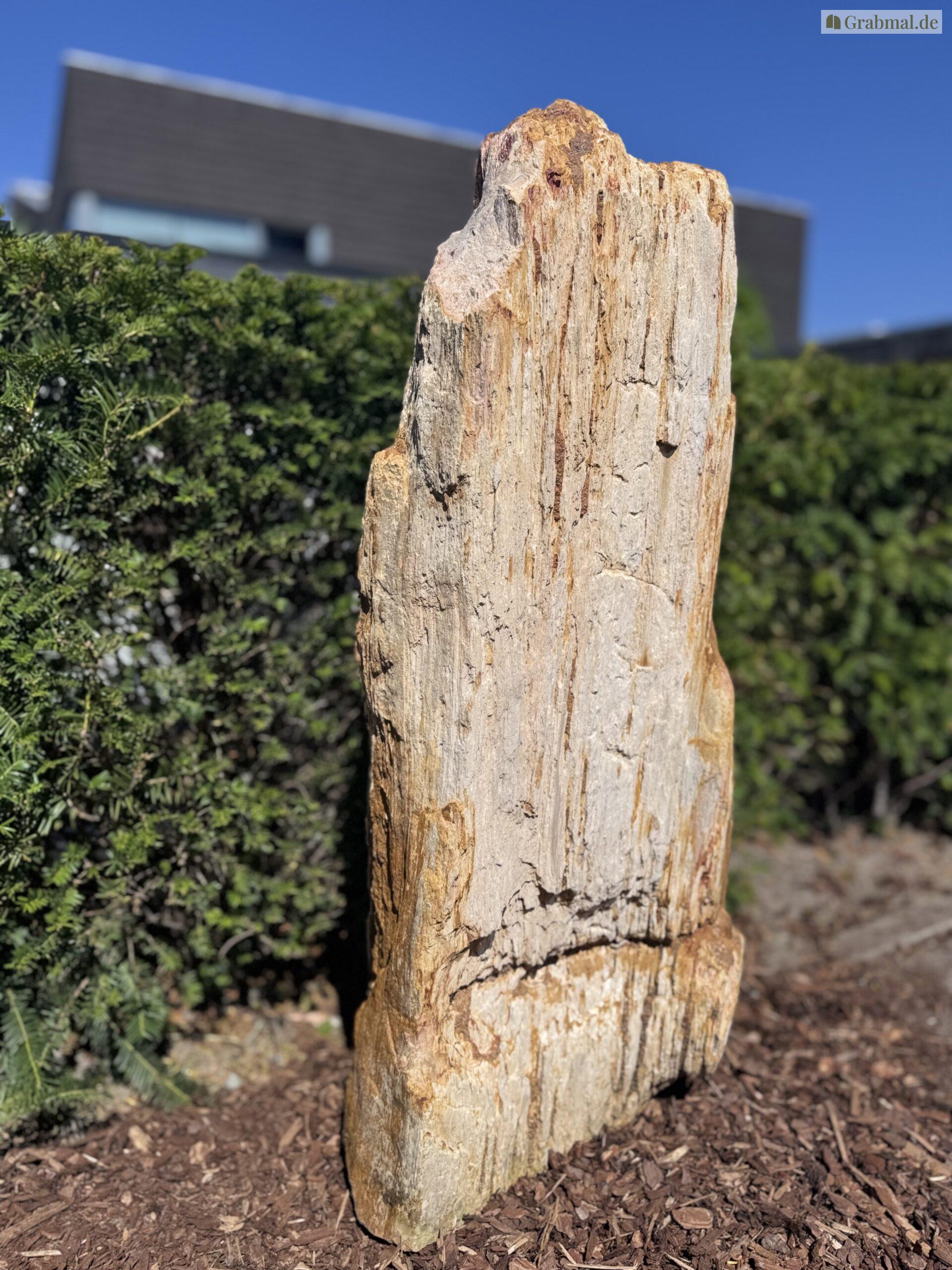 Grabstein Felsen 0293 – Bild 4
