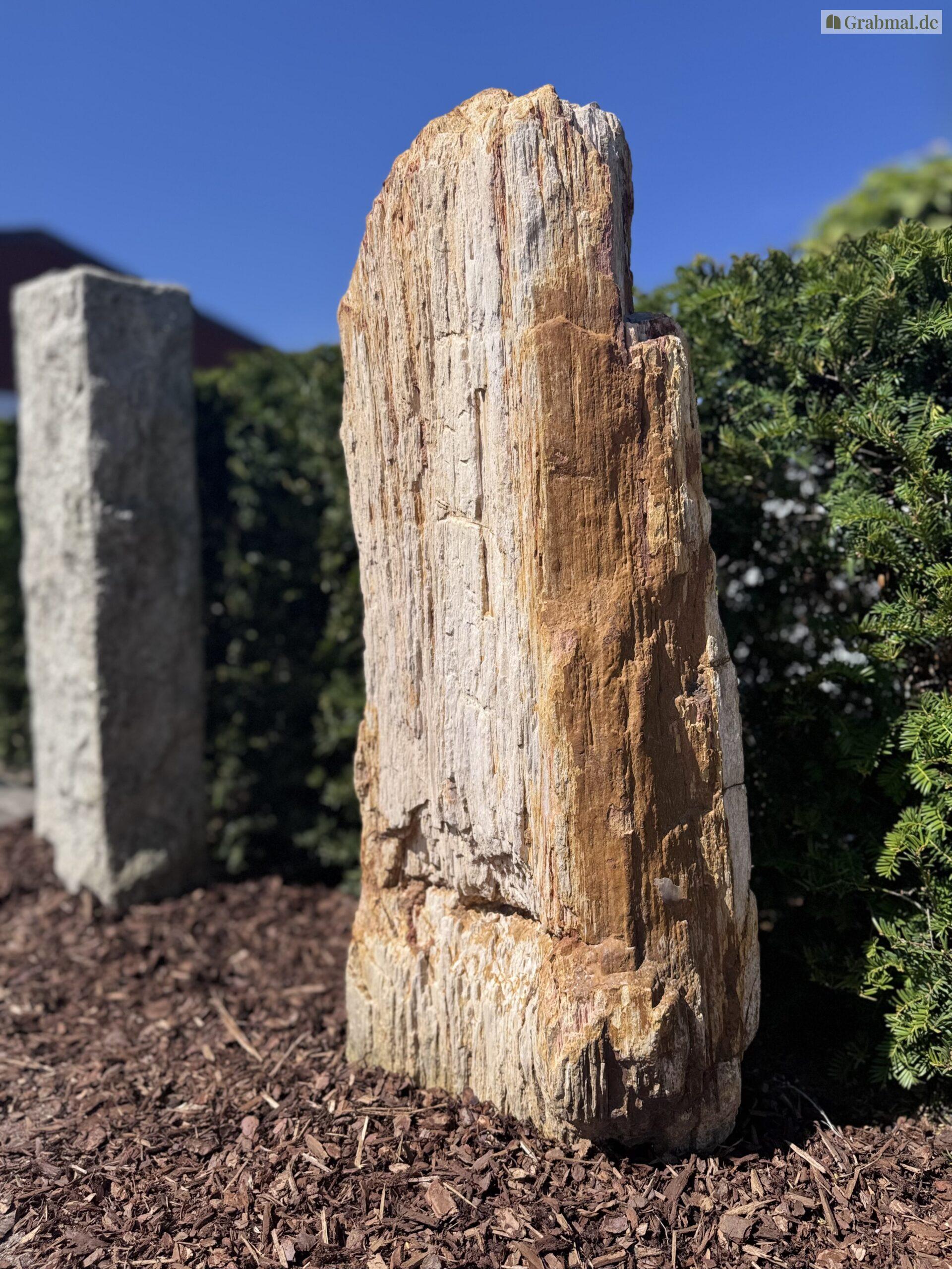 Grabstein Felsen 0293 – Bild 5